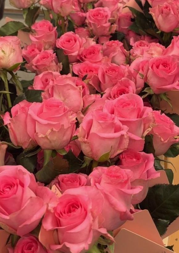 Rosenaktion Valentinstag Jahrgang 10 2