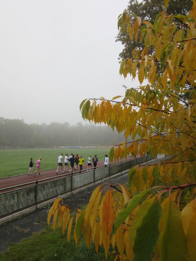 Lauftag 2026 14